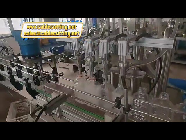 Piston Cosmetic Detergent Shampoo Juice Bottle Liquid Soybean Tomato Paste Filling Machine With U Mi