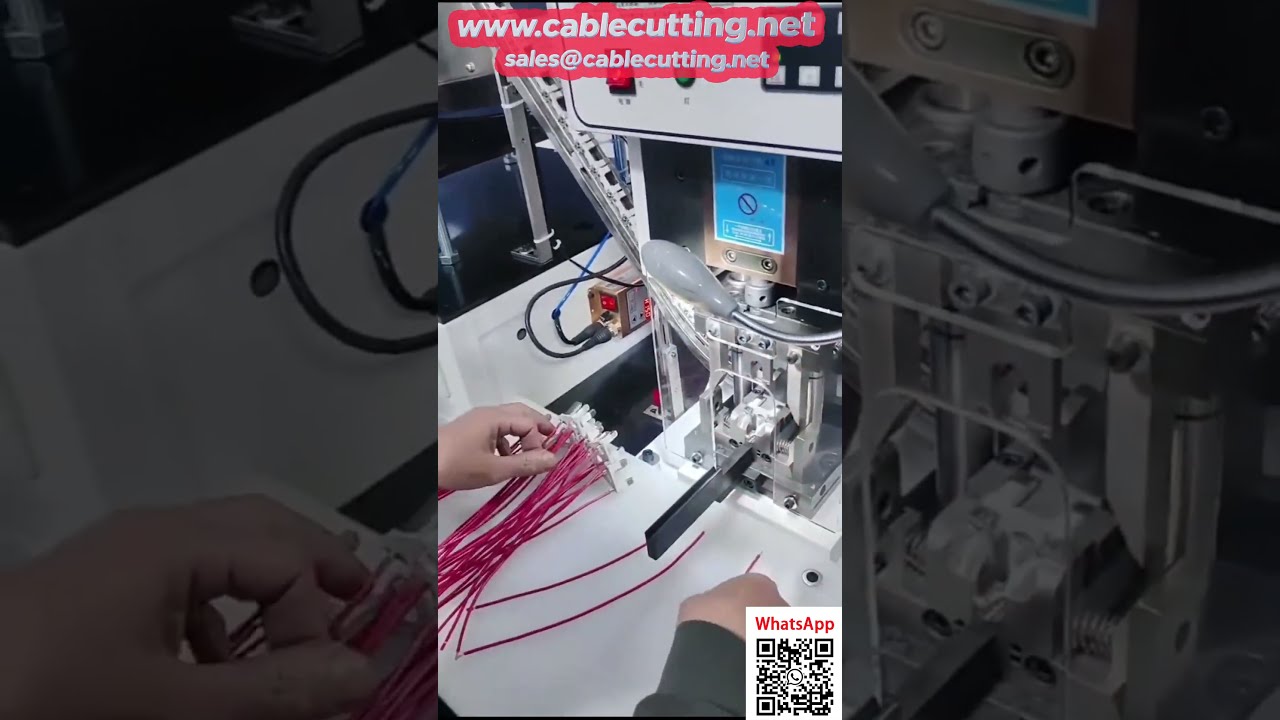 Prensa de crimpado personalizada para enchufe de 3 clavijas con alimentación automática